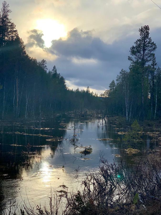 Linsell Leilighet Sveg Eksteriør bilde