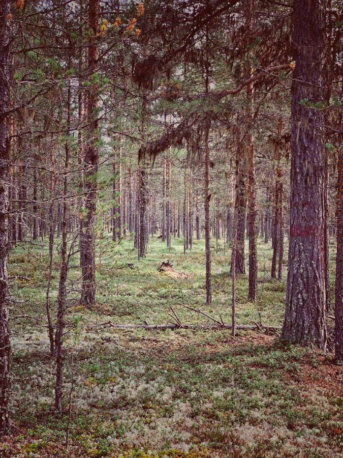 Linsell Leilighet Sveg Eksteriør bilde